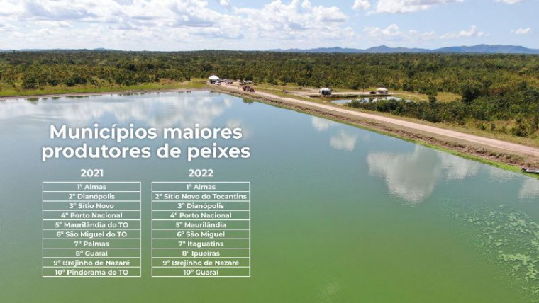 No Tocantins, o cultivo de peixes aumentou em 6,7% em relação ao ano anterior, com produção de 17 t