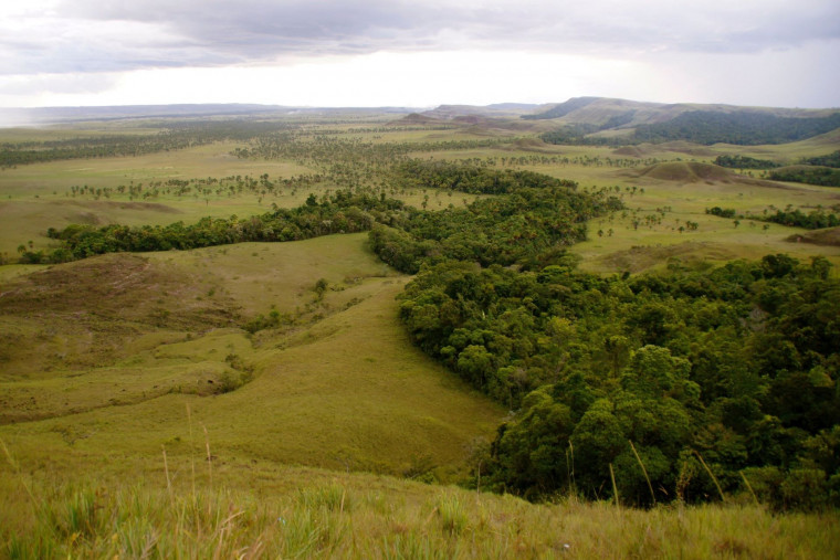 Relatório do Imazon chama atenção sobre valor irrisório de área pública no Tocantins.