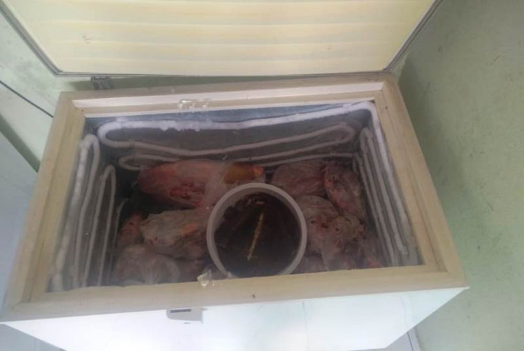 Carne apreendida pela Polícia CIvil em freezer no imóvel utilizado pelos suspeitos