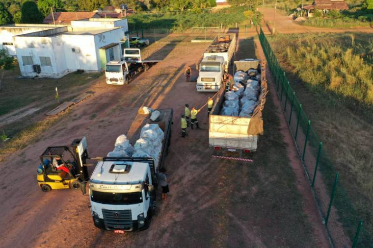 Três caminhões carregados trouxeram os fósseis vegetais de Brasília ao Tocantins