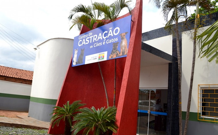 Centro de Castração de Cães e Gatos é mantido pela Prefeitura de Araguaína