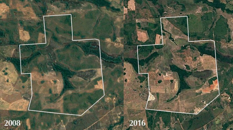 Imagens de satélite da área vegetada em 2008 e após o desmatamento, em 2016.