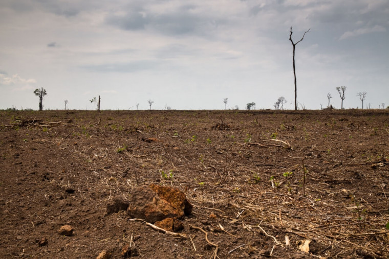 Se o desmatamento não for reduzido, a escassez hídrica será uma realidade em menos de 30 anos