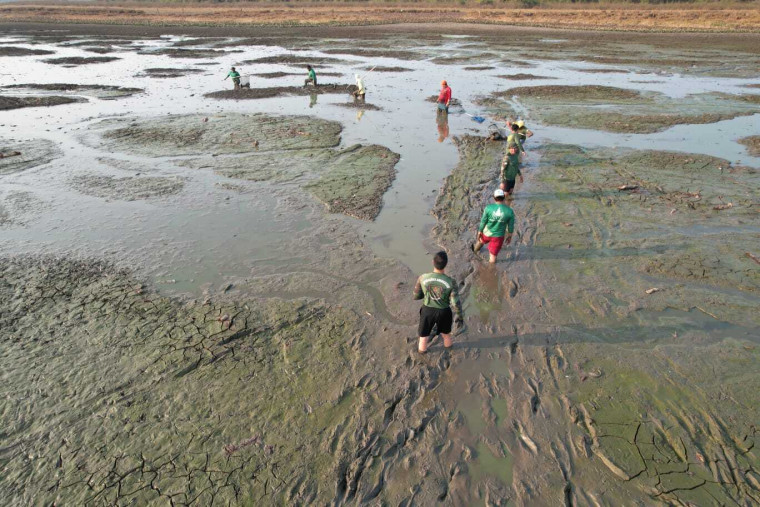 Durante operação, equipe do Naturatins dedica esforços para salvar o maior número possível de peixes