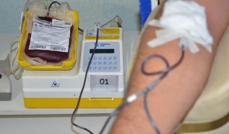 Doar sangue é um gesto que pode salvar vidas