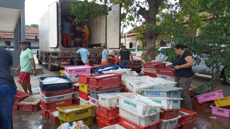 Caminhão carregado de pescado foi interceptado pela fiscalização em Aguiarnópolis, no extremo norte