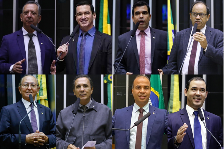 Os oito deputados federais do Tocantins