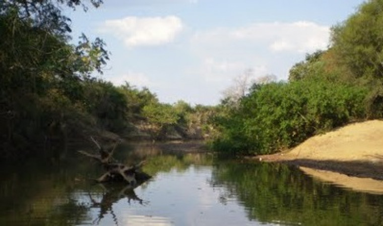 Área de mais de cinco mil hectares estaria ao longo do Rio Dueré.