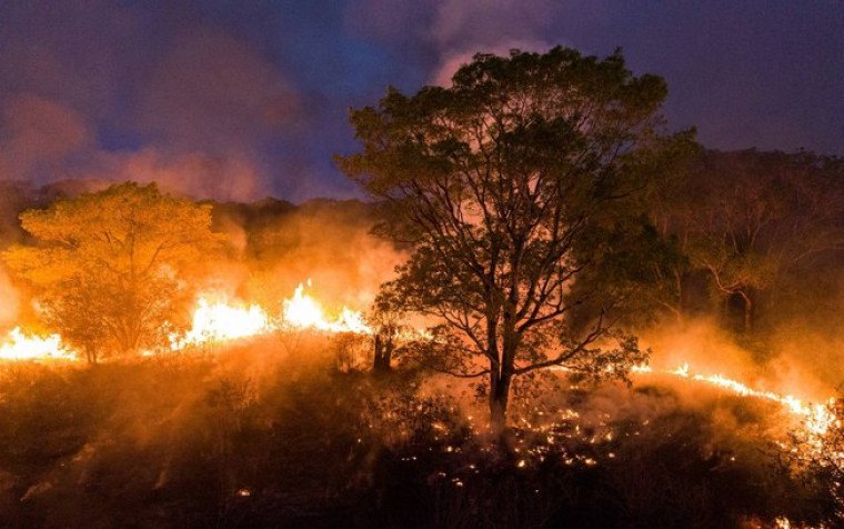 Fogo está devastando várias regiões do Estado