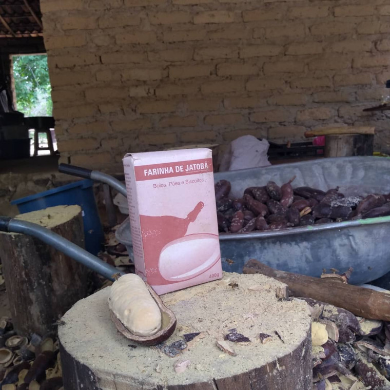 Famílias do Jalapão estão tirando do processamento de frutos do Cerrado seu sustento