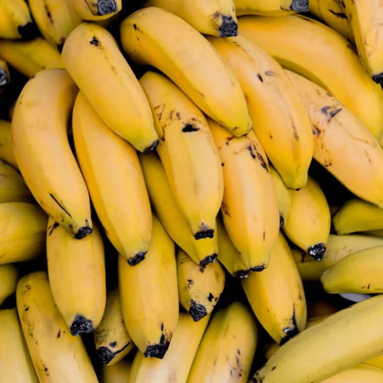 Curiosidades sobre a banana: bananas são radioativas, mas você não precisa parar de comê-las