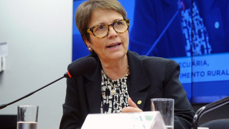 Ministra da Agricultura, Tereza Cristina