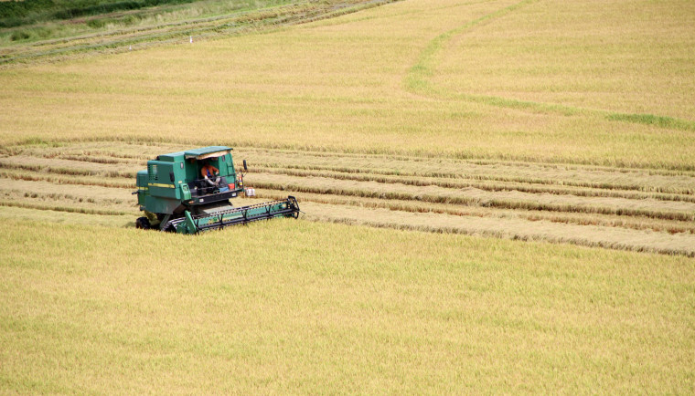 Destaque do agronegócio é o cultivo da soja no estado.