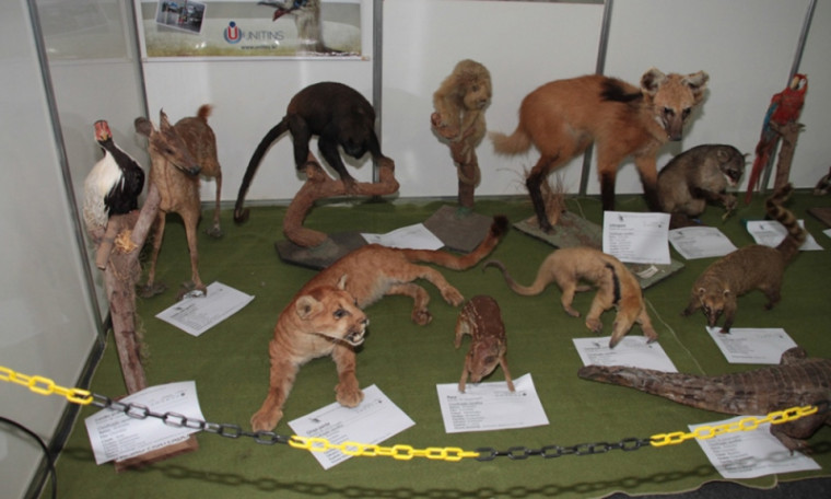 Museu de Zoologia e Taxidermia
