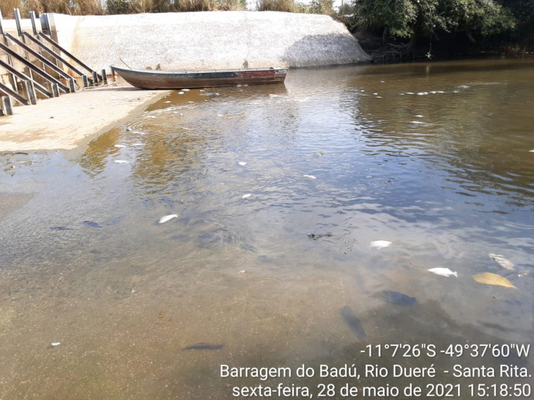 Barragem teria causado morte de peixes no Rio Dueré