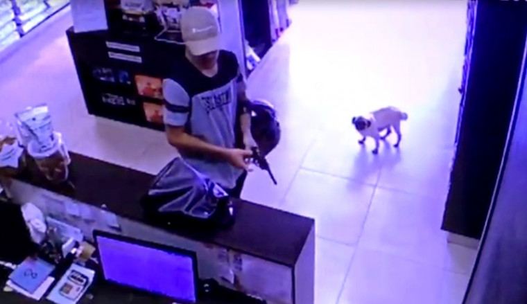 Assaltante armado dentro do pet shop