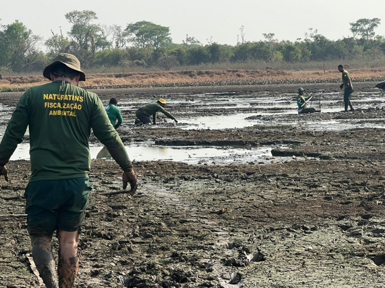 Operação Gigante do Araguaia na Ilha do Bananal