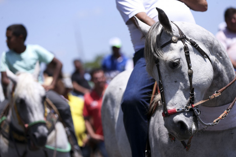 Cavalgada será realizada em Brasilândia, no domingo (27).