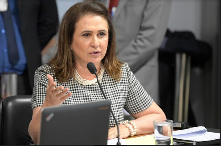 Senadora Kátia Abreu já definiu sua posição em relação à reforma