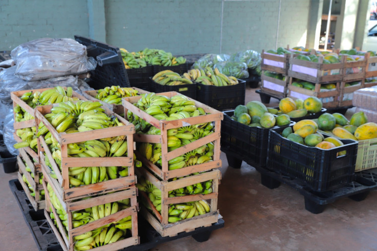 O Alimenta Araguaína é a modalidade própria do município nos mesmos moldes do programa Compra Direta