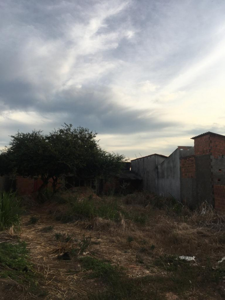 Lote abandonado fica próximo ao CCZ de Araguaína