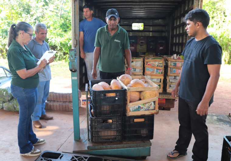Toda semana, os 60 produtores rurais cadastrados levam alimentos para o galpão do Programa