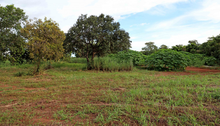 Terreno de 24 mil m² fica na Quadra ACSU SO 130 (1.301 Sul).