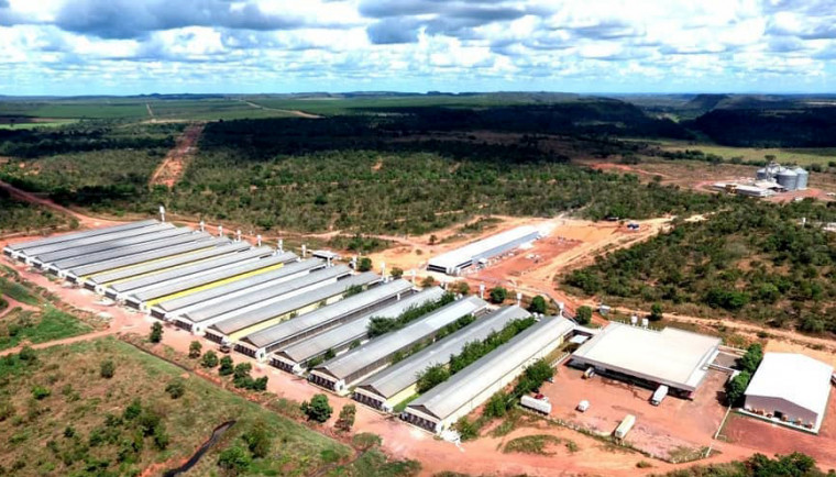 Planta industrial da empresa em Darcinópolis tem capacidade de produção de 3 milhões de ovos por dia