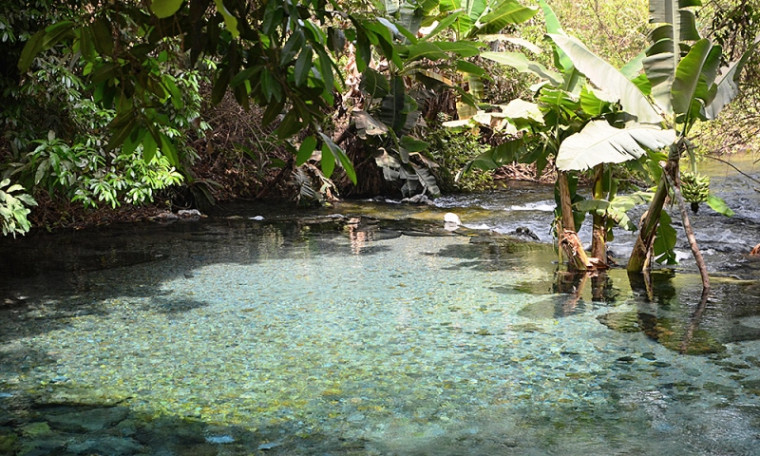 Rio Azuis
