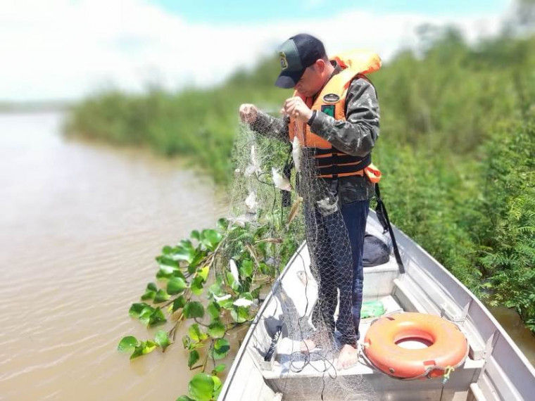 Peixes presos em rede