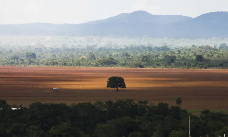 Área do cerrado desmatada.