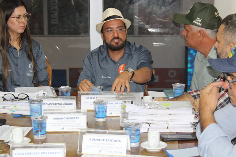 Reunião Ordinária do CDE-TO