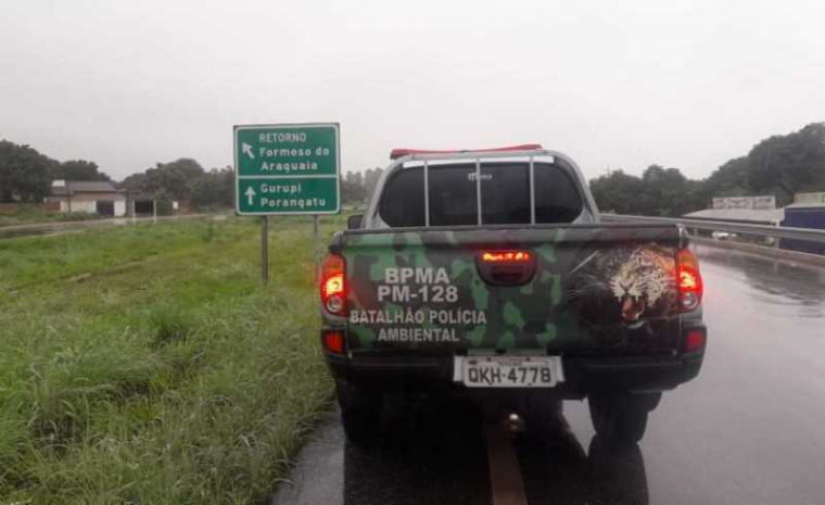Caso foi em Formoso do Araguaia