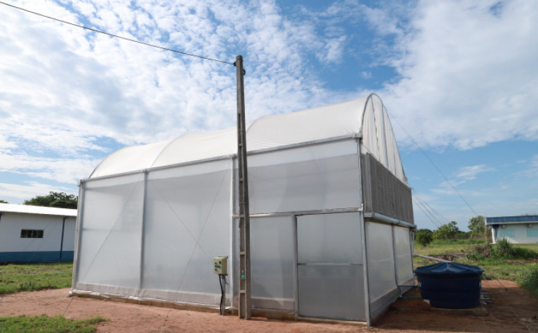 Casa de vegetação é o local onde as plantas são submetidas ao processo de aclimatação.