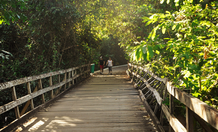 Sugestão 5 - Parque Cesamar em Palmas, a capital do estado.
