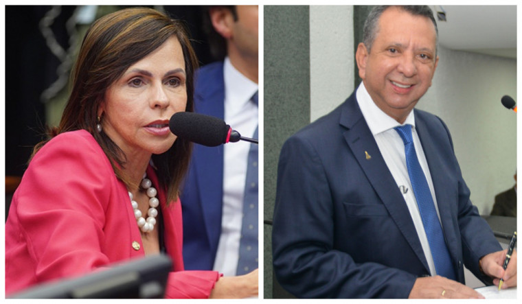 A deputada é pré-candidata ao senado e já trabalha na articulação junto às bases
