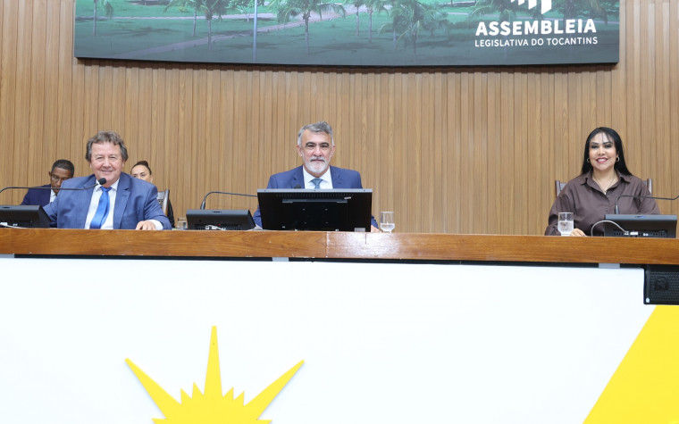 Assembleia Legislativa tem 13 comissões permanentes