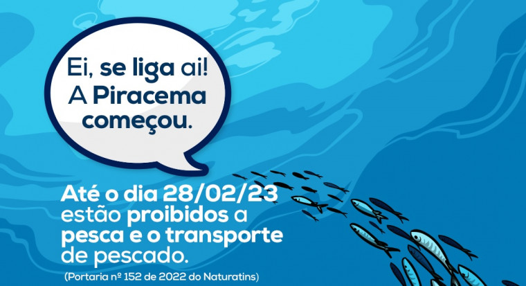 Piracema começou dia 01 de novembro no Tocantins