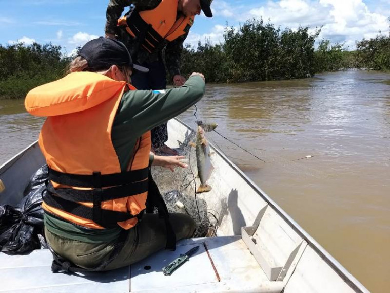 Os peixes que estavam vivos foram devolvidos ao rio